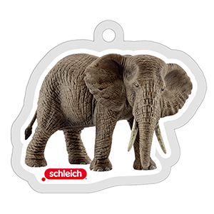 アフリカ象_オス